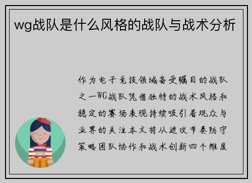 wg战队是什么风格的战队与战术分析